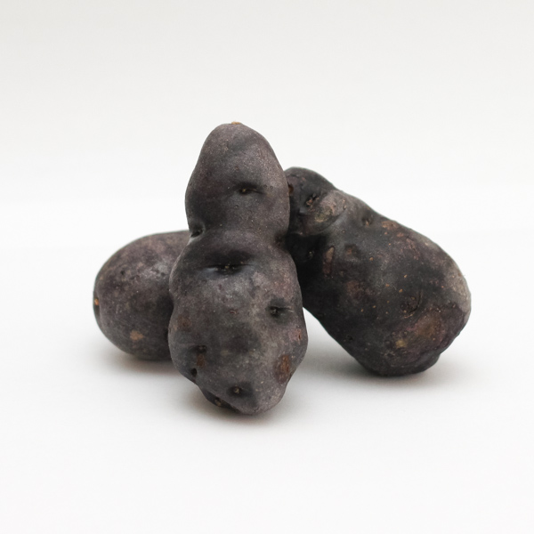 Pomme de terre Vitelotte